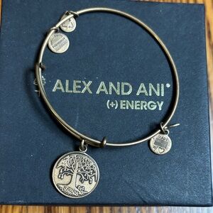 Alex and Ani Gold Charm Bangle